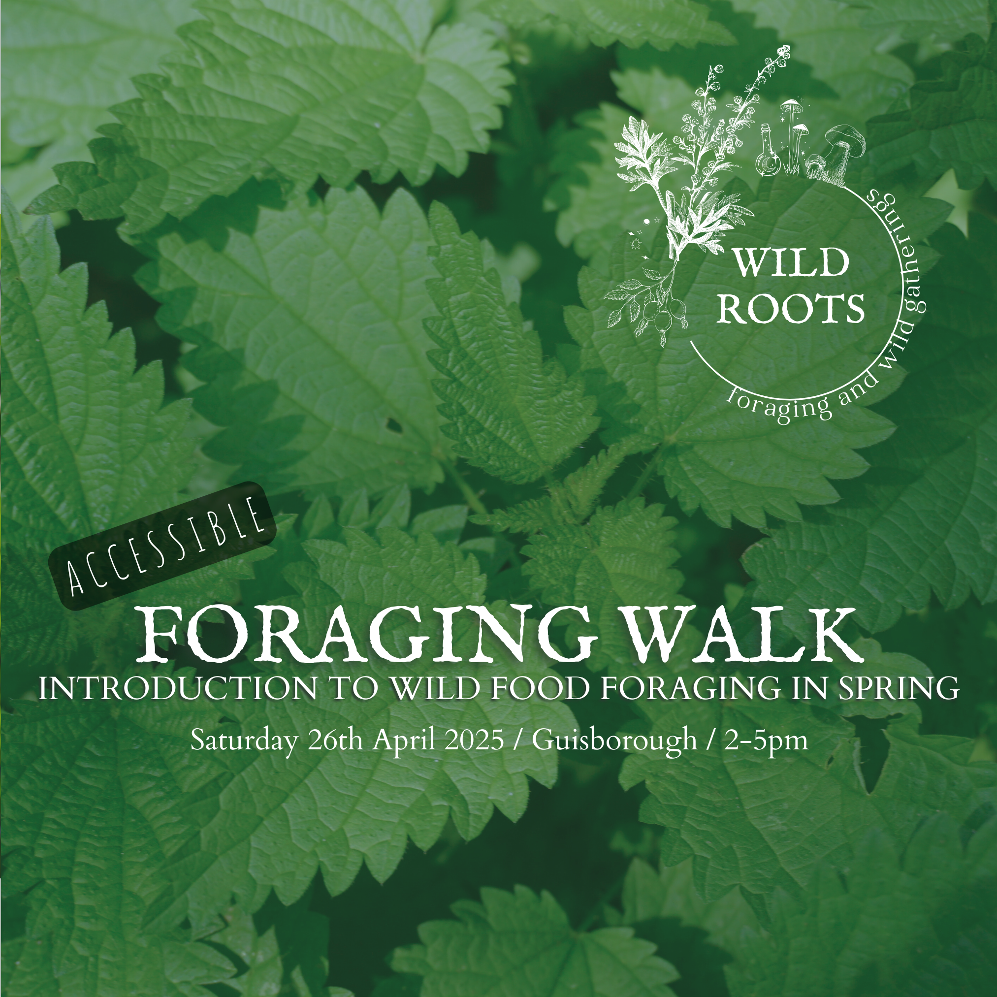 Spring Wild Group Spring Wild Food Foraging Walk 26th April - Wild Roots Foraging